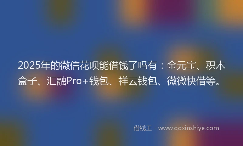 2025年的微信花呗能借钱了吗有：金元宝、积木盒子、汇融Pro+钱包、祥云钱包、微微快借等。