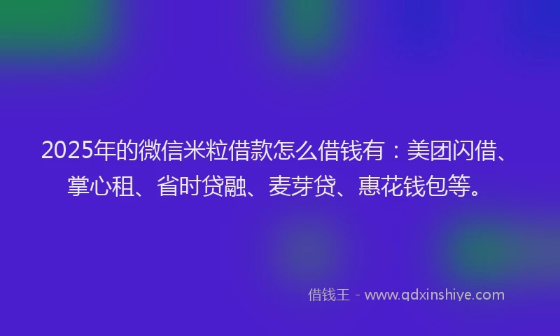2025年的微信米粒借款怎么借钱有：美团闪借、掌心租、省时贷融、麦芽贷、惠花钱包等。