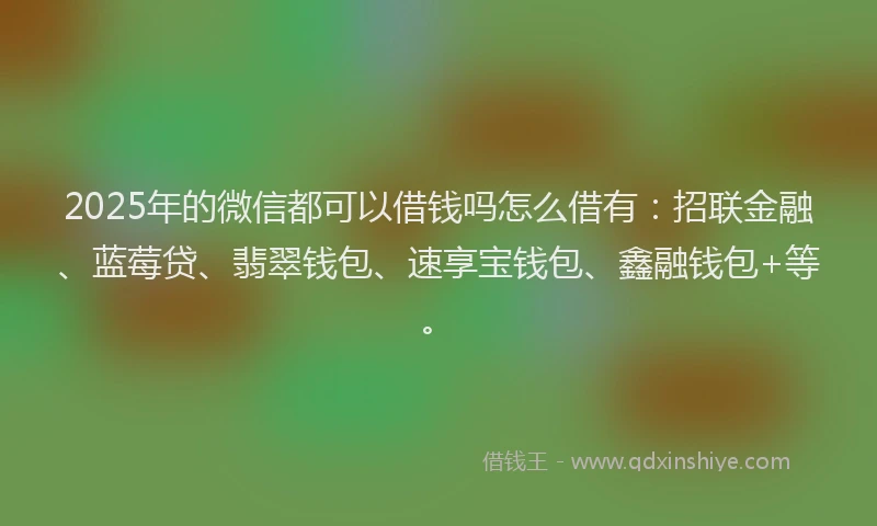2025年的微信都可以借钱吗怎么借有：招联金融、蓝莓贷、翡翠钱包、速享宝钱包、鑫融钱包+等。