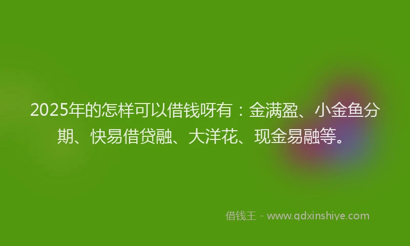 2025年的怎样可以借钱呀有：金满盈、小金鱼分期、快易借贷融、大洋花、现金易融等。