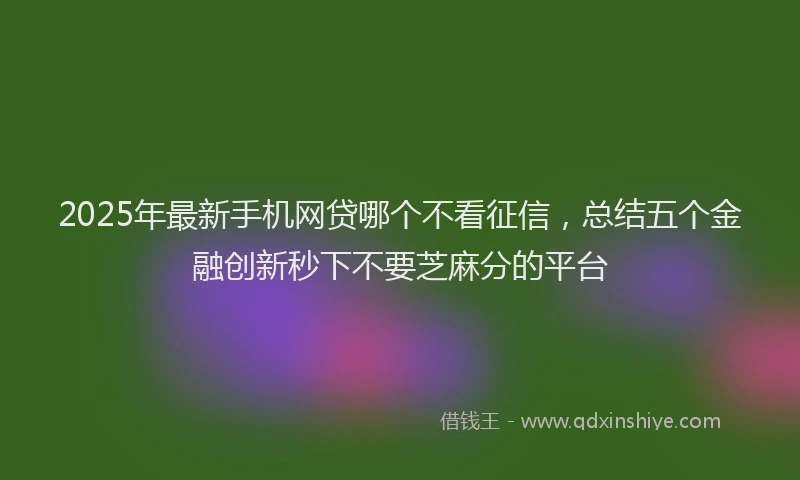 2025年最新手机网贷哪个不看征信，总结五个金融创新秒下不要芝麻分的平台
