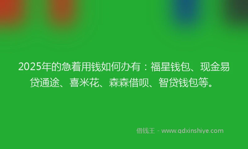 2025年的急着用钱如何办有：福星钱包、现金易贷通途、喜米花、森森借呗、智贷钱包等。
