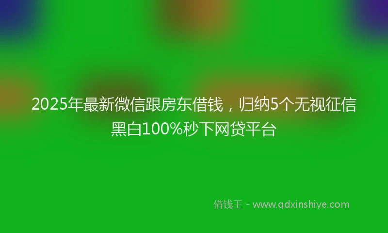 2025年最新微信跟房东借钱，归纳5个无视征信黑白100%秒下网贷平台