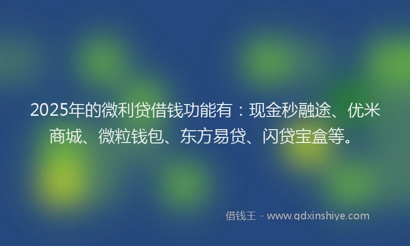 2025年的微利贷借钱功能有：现金秒融途、优米商城、微粒钱包、东方易贷、闪贷宝盒等。