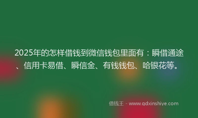 2025年的怎样借钱到微信钱包里面有：瞬借通途、信用卡易借、瞬信金、有钱钱包、哈银花等。