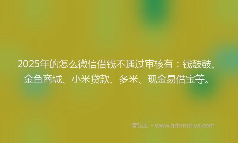 2025年的怎么微信借钱不通过审核有：钱鼓鼓、金鱼商城、小米贷款、多米、现金易借宝等。