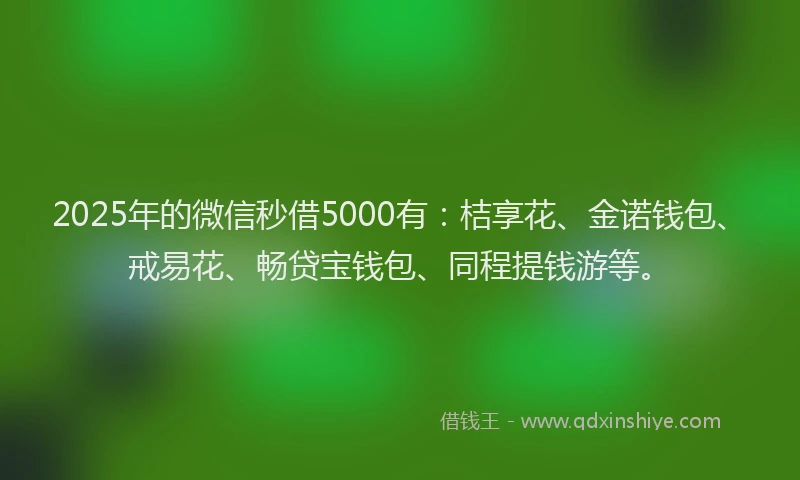 2025年的微信秒借5000有：桔享花、金诺钱包、戒易花、畅贷宝钱包、同程提钱游等。