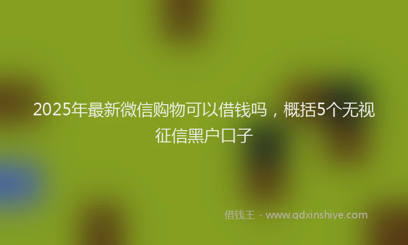 2025年最新微信购物可以借钱吗，概括5个无视征信黑户口子