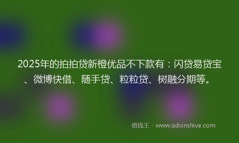 2025年的拍拍贷新橙优品不下款有：闪贷易贷宝、微博快借、随手贷、粒粒贷、树融分期等。