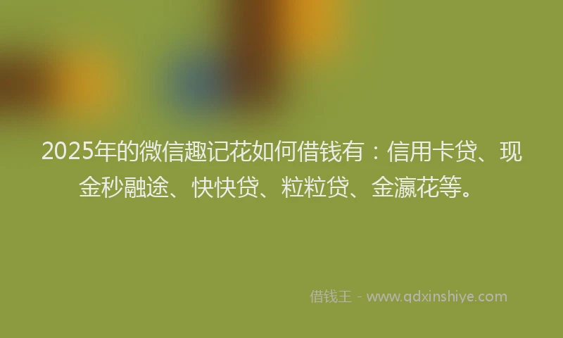 2025年的微信趣记花如何借钱有：信用卡贷、现金秒融途、快快贷、粒粒贷、金瀛花等。