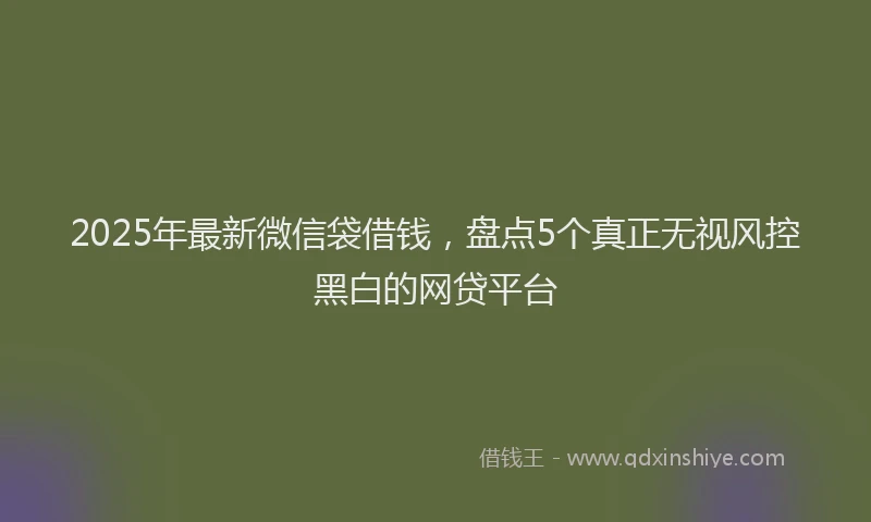 2025年最新微信袋借钱，盘点5个真正无视风控黑白的网贷平台