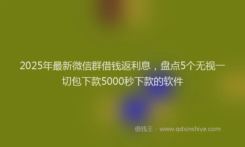 2025年最新微信群借钱返利息，盘点5个无视一切包下款5000秒下款的软件