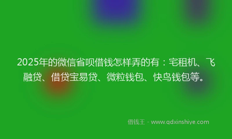 2025年的微信省呗借钱怎样弄的有：宅租机、飞融贷、借贷宝易贷、微粒钱包、快鸟钱包等。