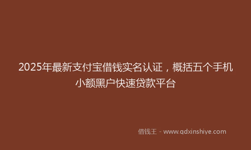 2025年最新支付宝借钱实名认证，概括五个手机小额黑户快速贷款平台