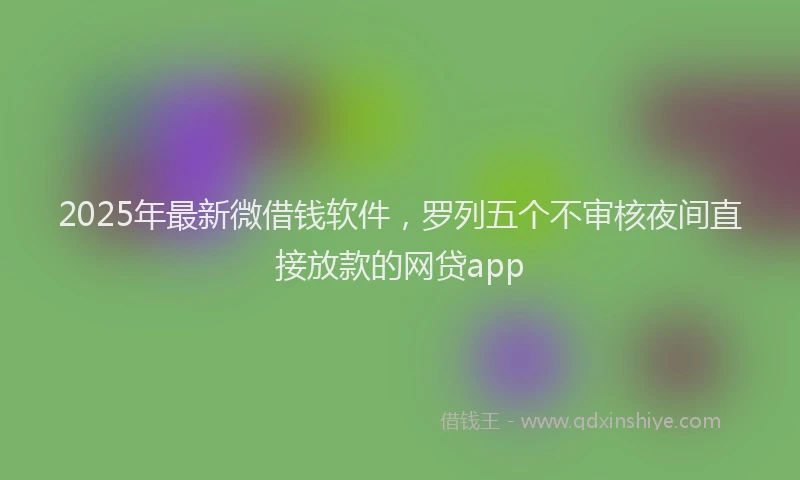2025年最新微借钱软件，罗列五个不审核夜间直接放款的网贷app