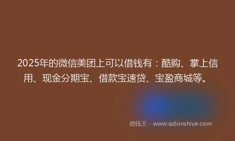 2025年的微信美团上可以借钱有：酷购、掌上信用、现金分期宝、借款宝速贷、宝盈商城等。