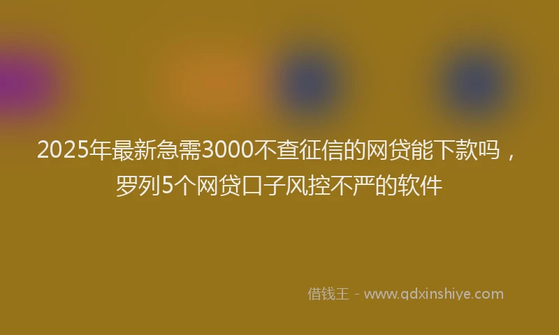 2025年最新急需3000不查征信的网贷能下款吗，罗列5个网贷口子风控不严的软件