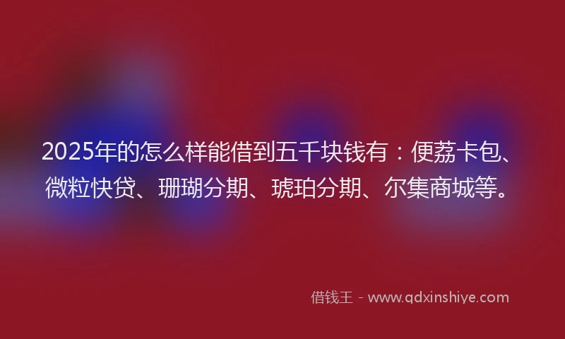 2025年的怎么样能借到五千块钱有：便荔卡包、微粒快贷、珊瑚分期、琥珀分期、尔集商城等。