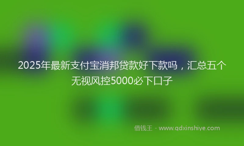 2025年最新支付宝消邦贷款好下款吗，汇总五个无视风控5000必下口子