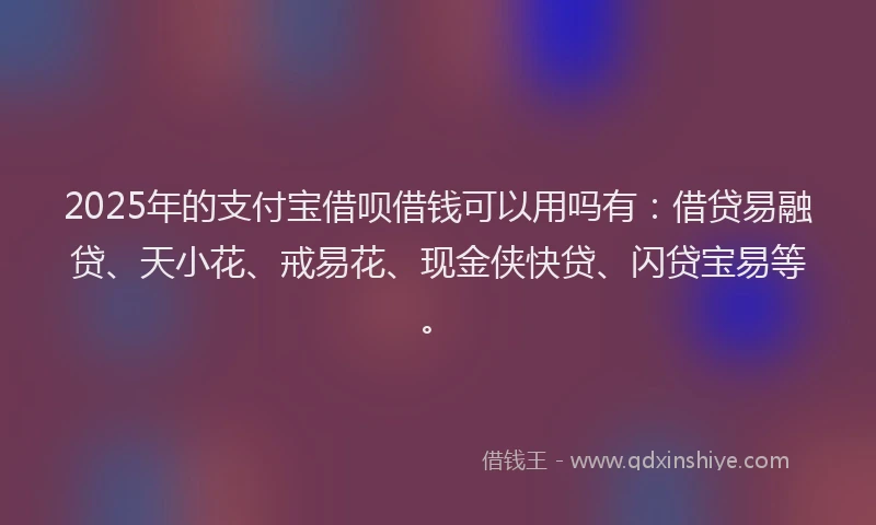 2025年的支付宝借呗借钱可以用吗有：借贷易融贷、天小花、戒易花、现金侠快贷、闪贷宝易等。