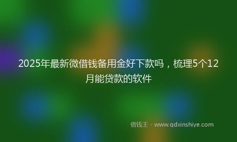 2025年最新微借钱备用金好下款吗，梳理5个12月能贷款的软件