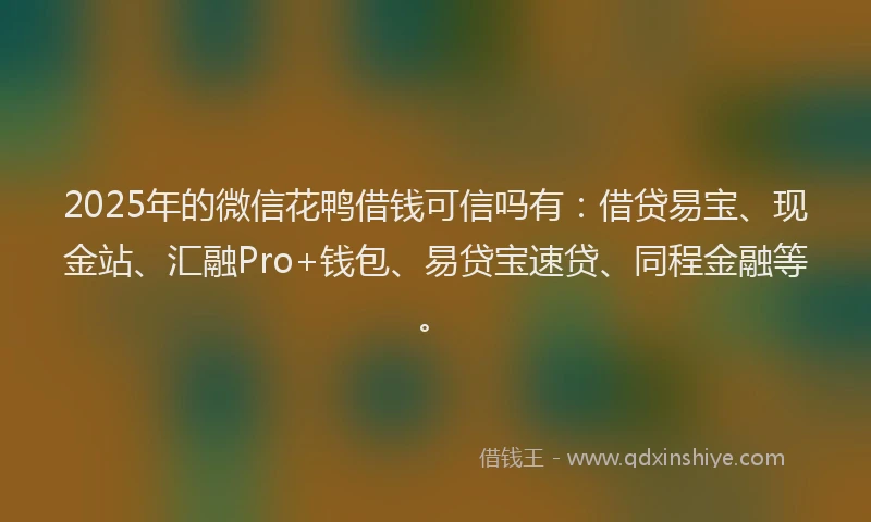 2025年的微信花鸭借钱可信吗有：借贷易宝、现金站、汇融Pro+钱包、易贷宝速贷、同程金融等。