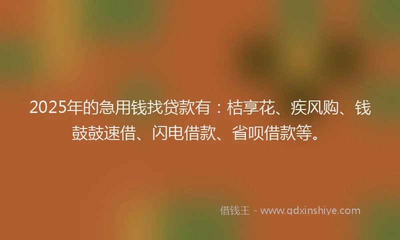 2025年的急用钱找贷款有：桔享花、疾风购、钱鼓鼓速借、闪电借款、省呗借款等。