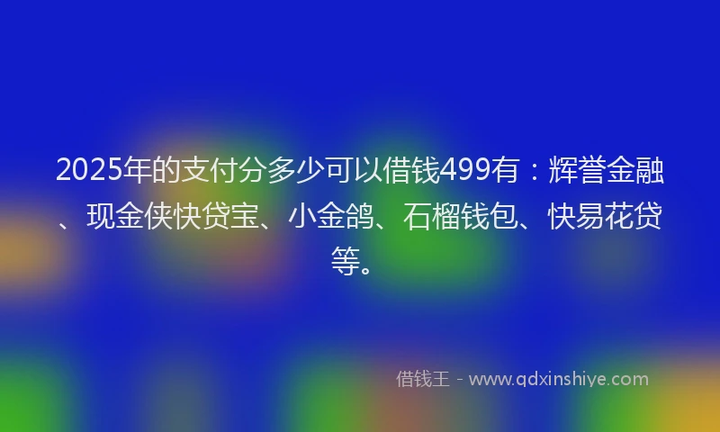 2025年的支付分多少可以借钱499有：辉誉金融、现金侠快贷宝、小金鸽、石榴钱包、快易花贷等。