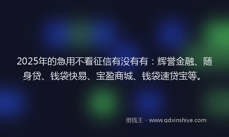 2025年的急用不看征信有没有有：辉誉金融、随身贷、钱袋快易、宝盈商城、钱袋速贷宝等。