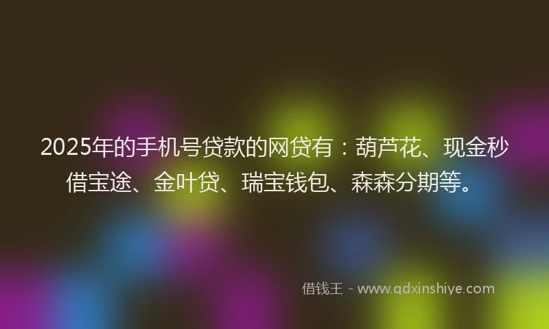 2025年的手机号贷款的网贷有：葫芦花、现金秒借宝途、金叶贷、瑞宝钱包、森森分期等。