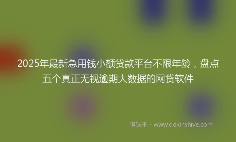 2025年最新急用钱小额贷款平台不限年龄，盘点五个真正无视逾期大数据的网贷软件
