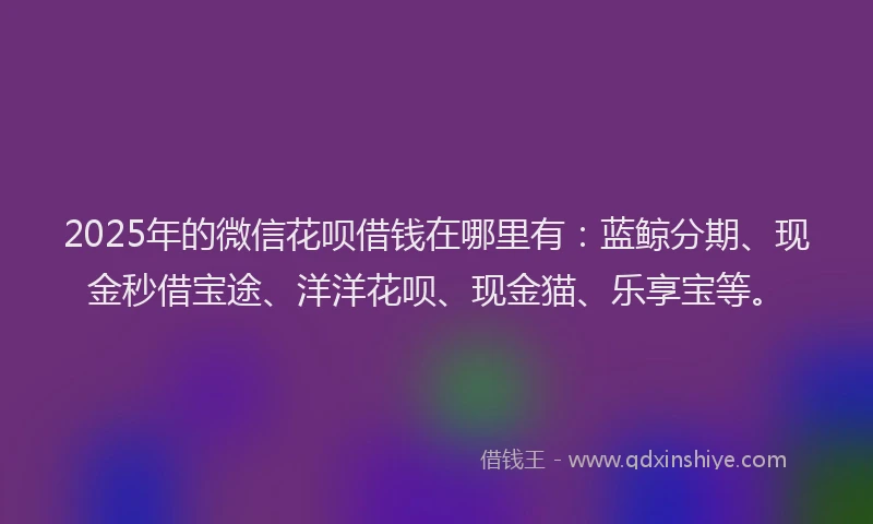 2025年的微信花呗借钱在哪里有：蓝鲸分期、现金秒借宝途、洋洋花呗、现金猫、乐享宝等。