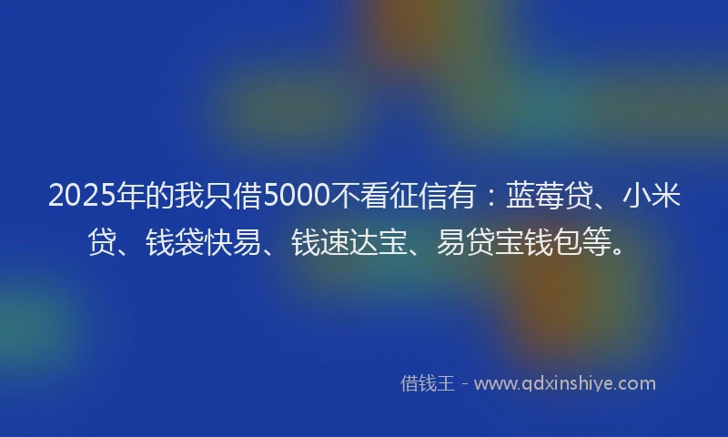 2025年的我只借5000不看征信有：蓝莓贷、小米贷、钱袋快易、钱速达宝、易贷宝钱包等。