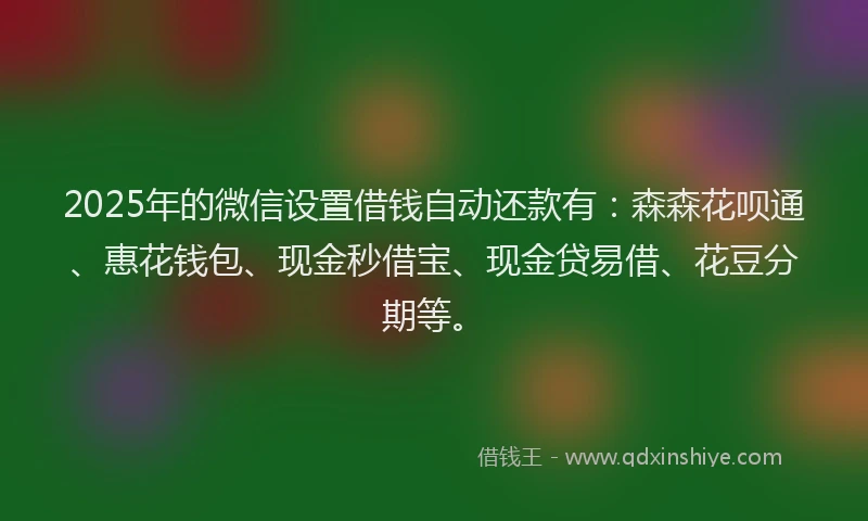 2025年的微信设置借钱自动还款有：森森花呗通、惠花钱包、现金秒借宝、现金贷易借、花豆分期等。