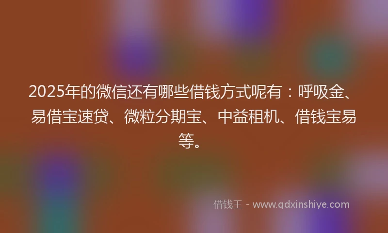 2025年的微信还有哪些借钱方式呢有：呼吸金、易借宝速贷、微粒分期宝、中益租机、借钱宝易等。