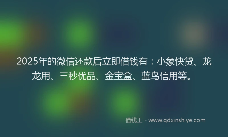 2025年的微信还款后立即借钱有：小象快贷、龙龙用、三秒优品、金宝盒、蓝鸟信用等。