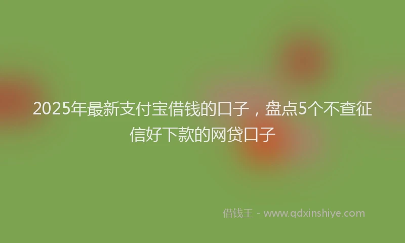 2025年最新支付宝借钱的口子，盘点5个不查征信好下款的网贷口子
