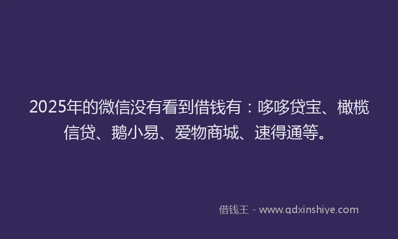 2025年的微信没有看到借钱有：哆哆贷宝、橄榄信贷、鹅小易、爱物商城、速得通等。