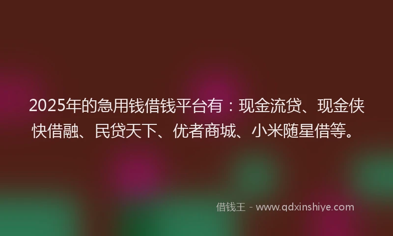 2025年的急用钱借钱平台有：现金流贷、现金侠快借融、民贷天下、优者商城、小米随星借等。