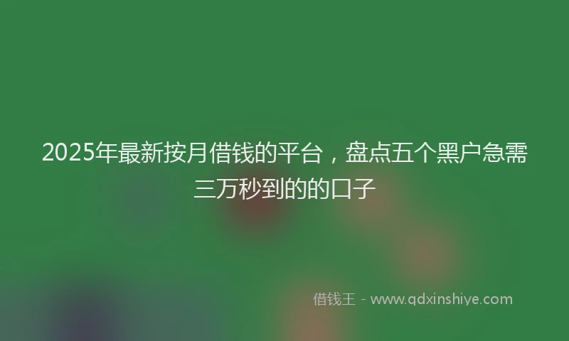 2025年最新按月借钱的平台，盘点五个黑户急需三万秒到的的口子