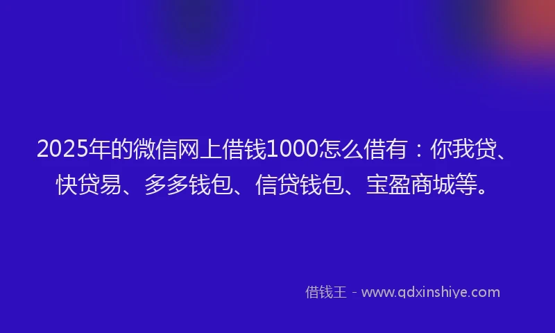 2025年的微信网上借钱1000怎么借有：你我贷、快贷易、多多钱包、信贷钱包、宝盈商城等。