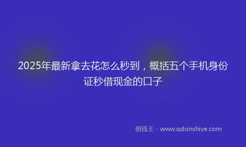 2025年最新拿去花怎么秒到，概括五个手机身份证秒借现金的口子
