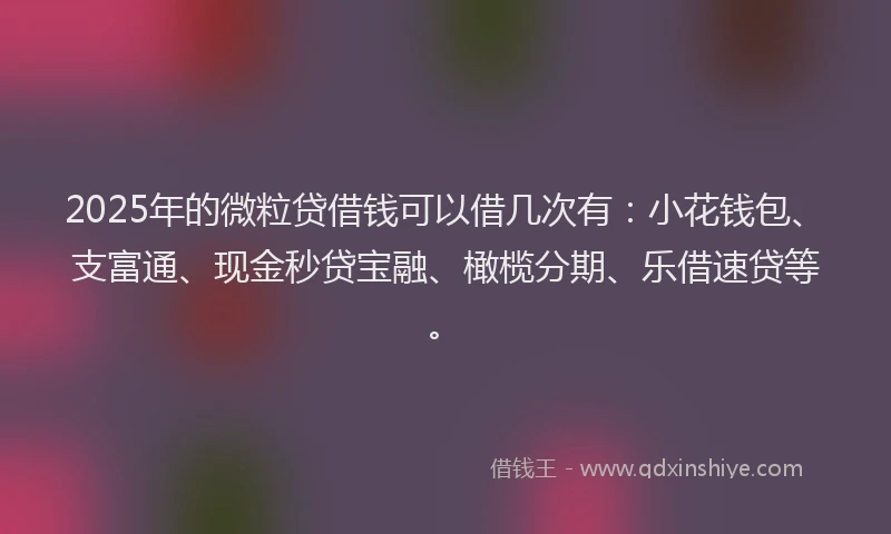 2025年的微粒贷借钱可以借几次有：小花钱包、支富通、现金秒贷宝融、橄榄分期、乐借速贷等。