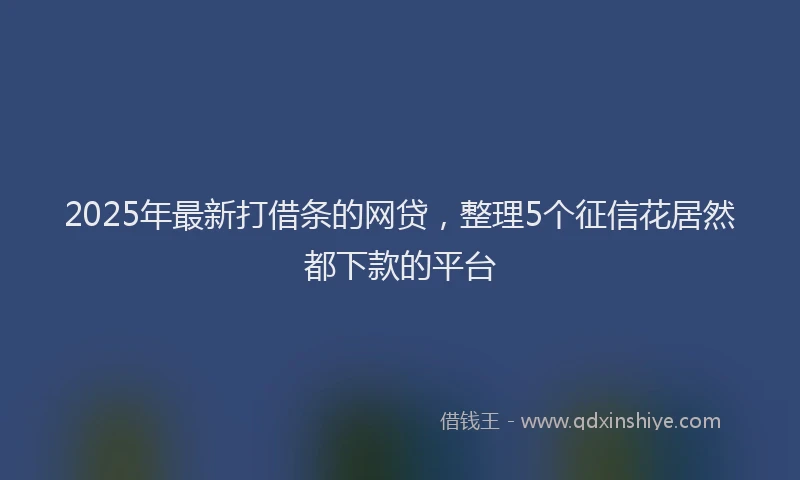 2025年最新打借条的网贷，整理5个征信花居然都下款的平台