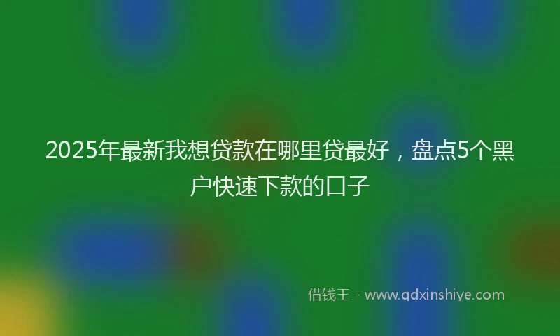 2025年最新我想贷款在哪里贷最好，盘点5个黑户快速下款的口子