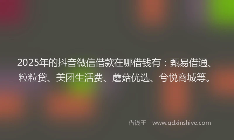 2025年的抖音微信借款在哪借钱有：甄易借通、粒粒贷、美团生活费、蘑菇优选、兮悦商城等。