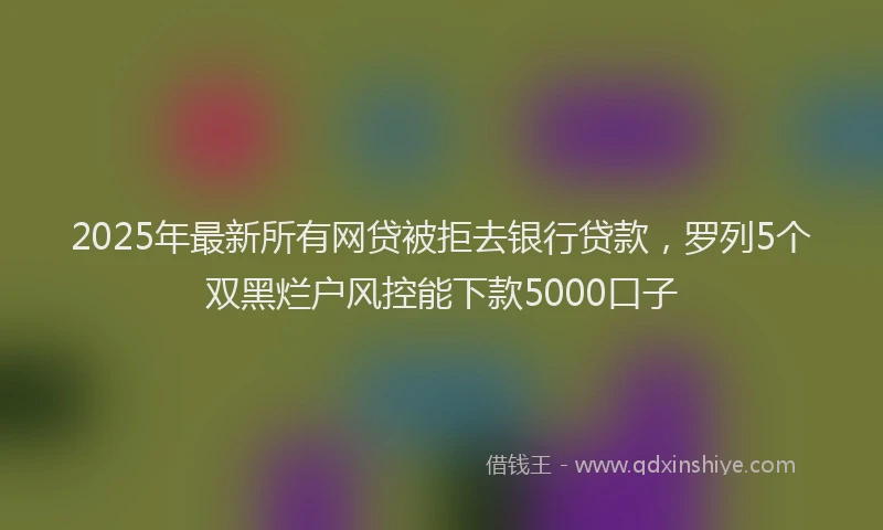 2025年最新所有网贷被拒去银行贷款，罗列5个双黑烂户风控能下款5000口子
