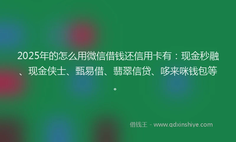 2025年的怎么用微信借钱还信用卡有：现金秒融、现金侠士、甄易借、翡翠信贷、哆来咪钱包等。