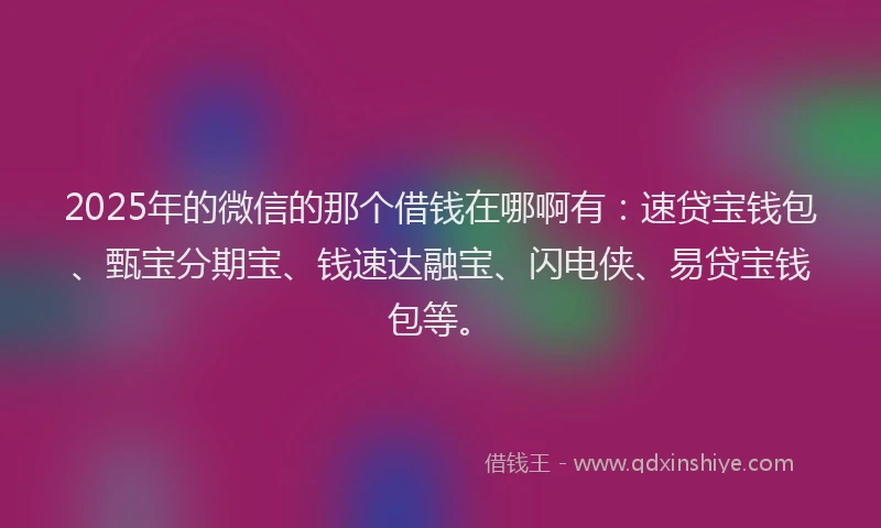 2025年的微信的那个借钱在哪啊有：速贷宝钱包、甄宝分期宝、钱速达融宝、闪电侠、易贷宝钱包等。