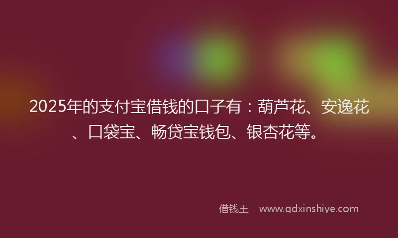 2025年的支付宝借钱的口子有：葫芦花、安逸花、口袋宝、畅贷宝钱包、银杏花等。